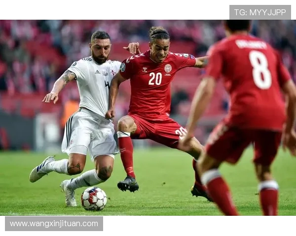 2008年欧洲杯土耳其对捷克切赫精彩表现回顾与分析